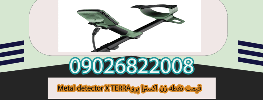 Metal detector X TERRA